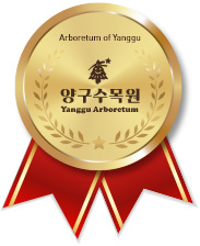양구수목원코스 완주 인증서