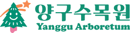 양구수목원